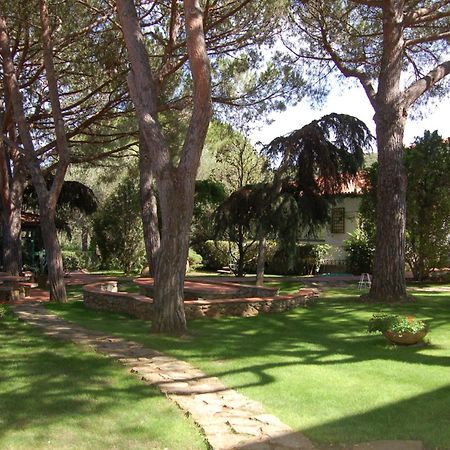 Hotel Marelba Cavo Esterno foto