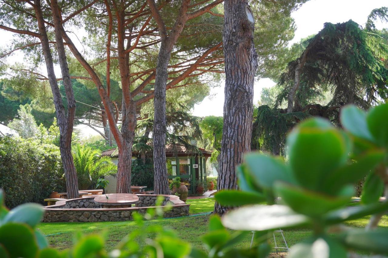Hotel Marelba Cavo Esterno foto